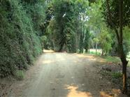 Acesso ao Parque da Boica