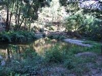 Zona da Garganta - 1