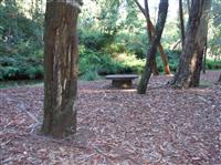 Zona da Garganta - 2