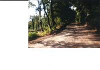 Acesso ao Parque da Boiça