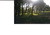 Acesso ao Parque da Boiça