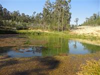 Lago de Rio Côvo