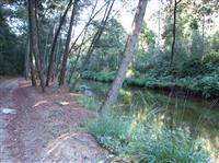 Zona da Garganta - 1